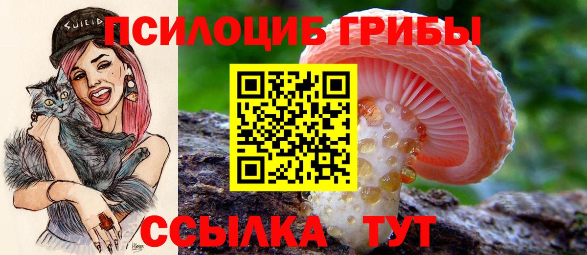 Чебаркуль  Галлюциногенные грибы ЛСД  Галлюциногенные грибы Psilocybe  Вход с VPN 